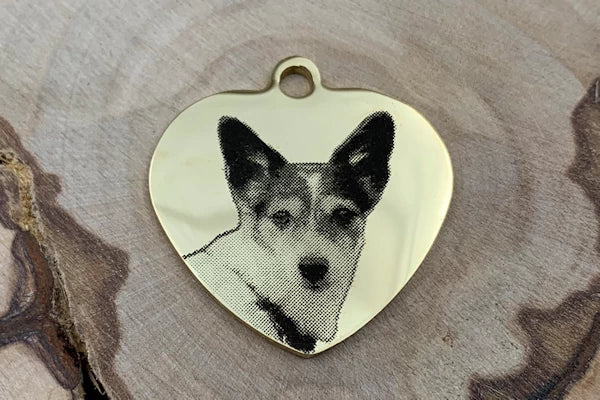 Hundemarke mit Foto und Gravur als Herz gold - Muster Lilu