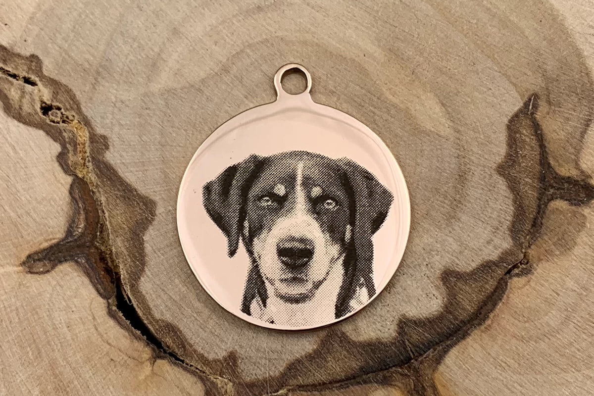 Hundemarke mit Foto und Gravur rund roségold Muster Lina