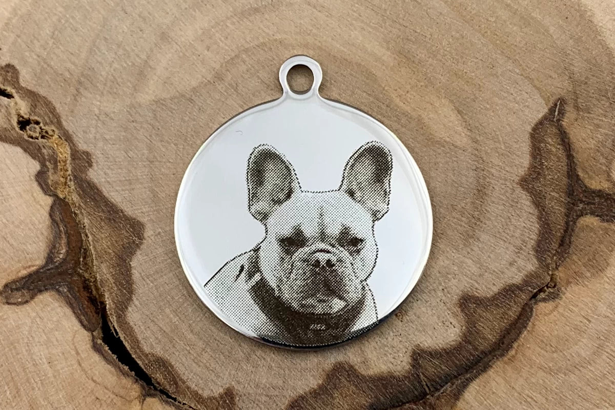 Hundemarke mit Foto und Gravur rund silber Muster Betty